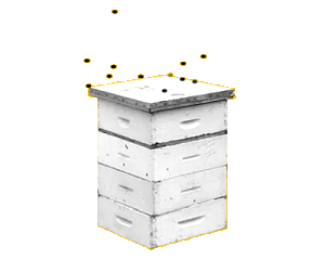 beehive